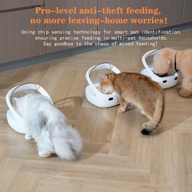 New Petoneer NutriCare Feeder Tailored For Multi-Pet Households Pet feeder Cat And Dog Feeder With App Global Version
