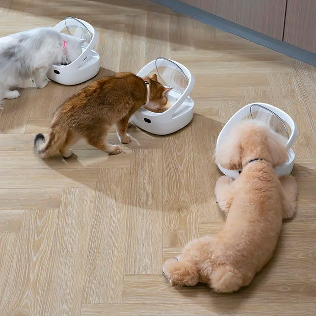 New Petoneer NutriCare Feeder Tailored For Multi-Pet Households Pet feeder Cat And Dog Feeder With App Global Version