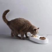 Youpin Petkit Pet Bowl Feeding Dishes Adjustable Double Feeder Bowls Water Cup Cat Bowls Drinking Bowl Pet Supplies